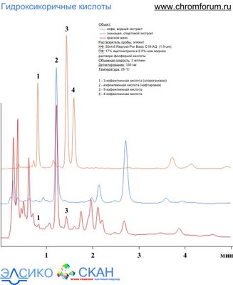 ech_2.jpg (50.21 Кб) Просмотров: 8547 ech_2.jpg