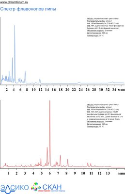 lipa_1.jpg (53.4 Кб) Просмотров: 9614 lipa_1.jpg