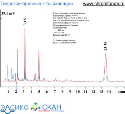 ech_1.jpg (41.16 Кб) Просмотров: 9614 ech_1.jpg